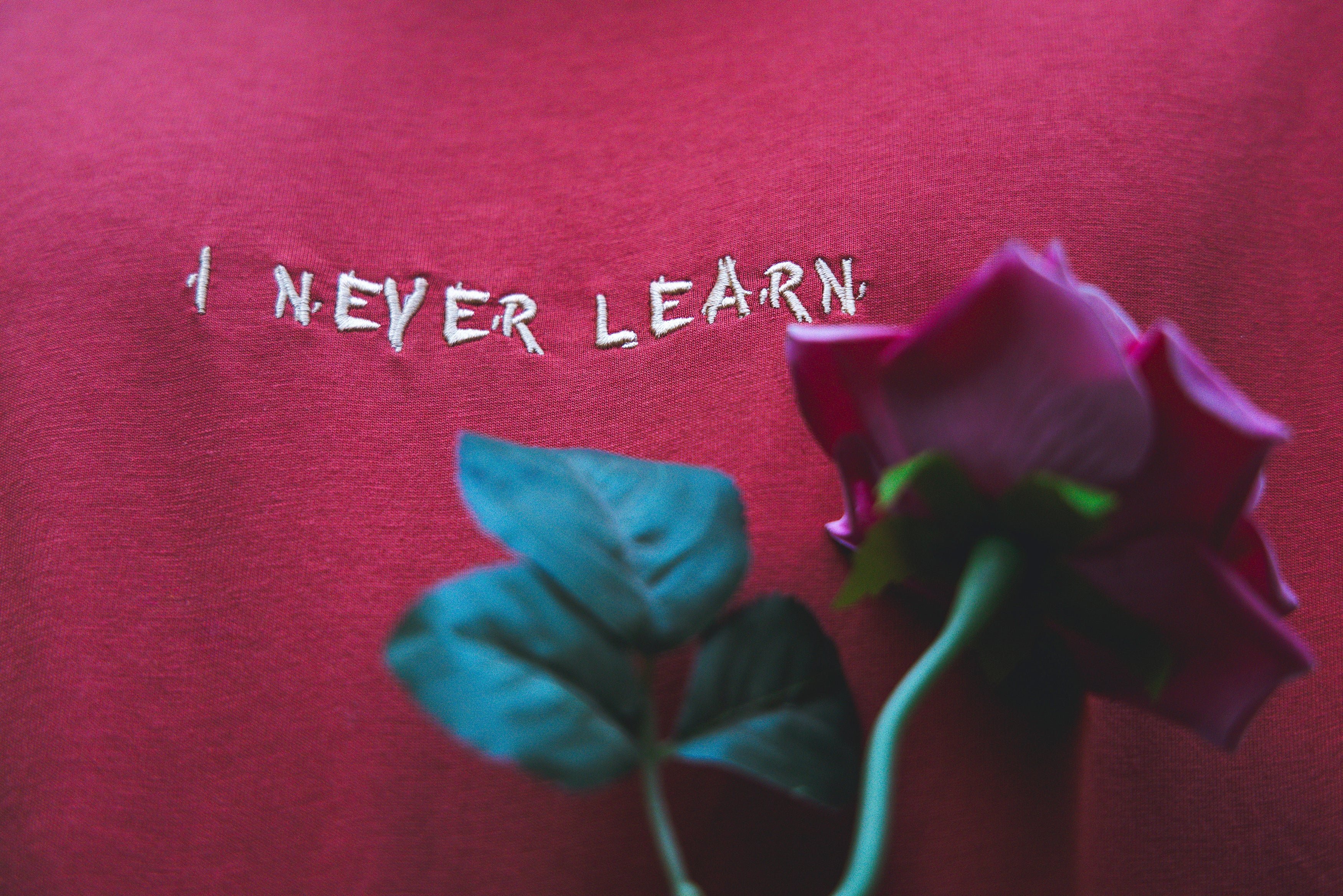 NEVER LEARN| LONGSLEEVE
