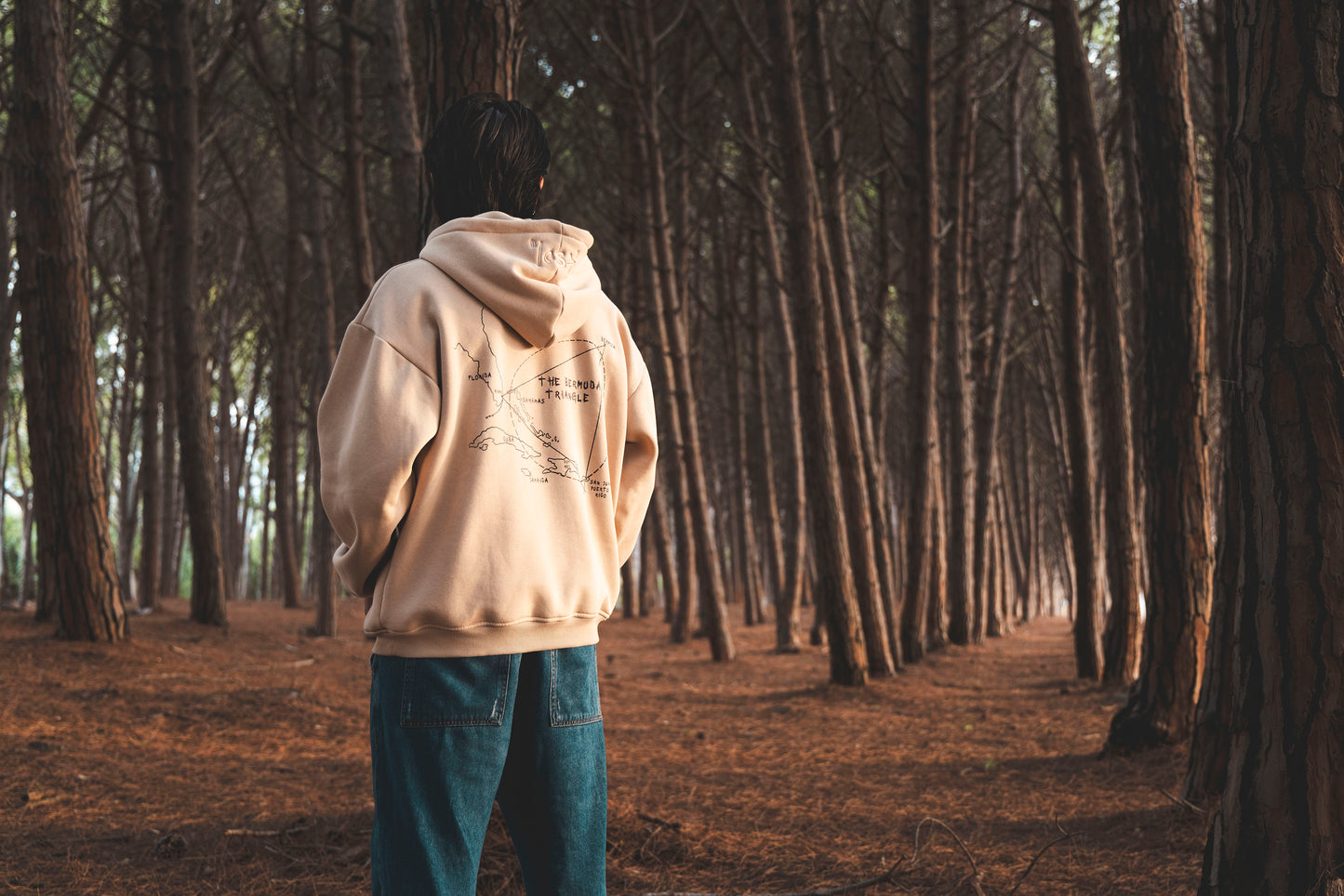 LOST |HOODIE